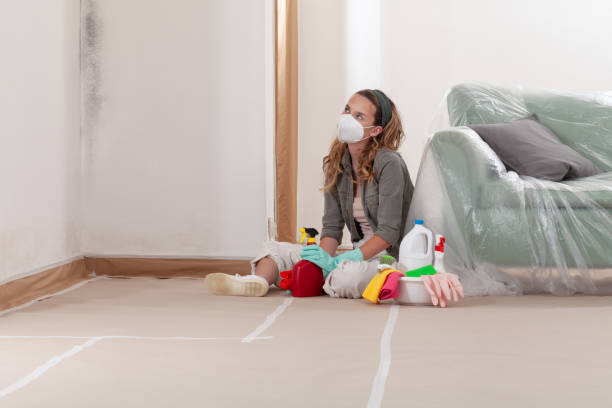 Reliable Mold Removal contractor in Atlanta, GA by WQB Mold Removal
